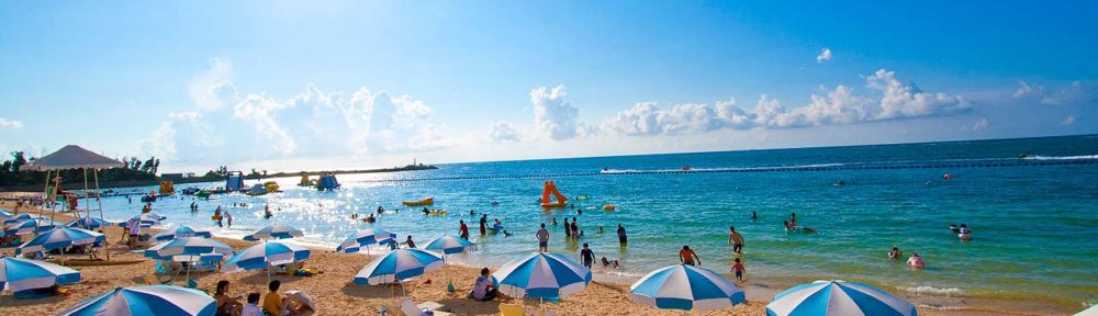 ハッピーフレンズ　　happy Friends